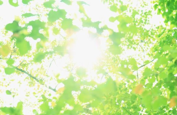 伊勢崎市でリフォームをおこなう三ツ星リフォーム！大工・電気工事スタッフ募集